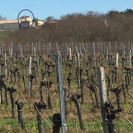 Superbe Gite A La Campagne Dans Le Bordelais Saint-Vivien-de-Blaye Buitenkant foto