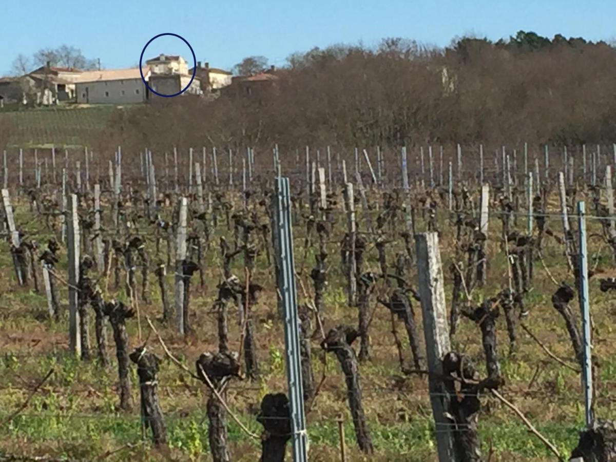 Superbe Gite A La Campagne Dans Le Bordelais Saint-Vivien-de-Blaye Buitenkant foto